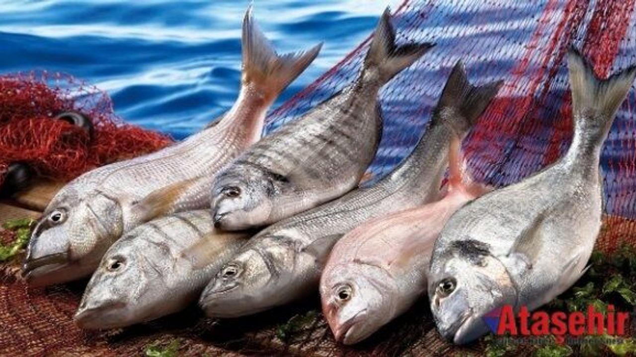 Balık, Anadolu’da 5 bin yıllık tarihe sahip