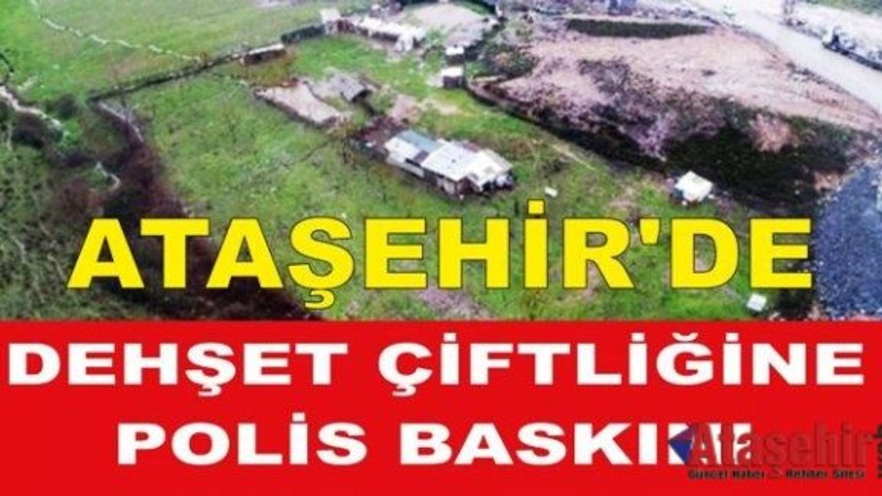 Ataşehir'de Dehşet Çiftliğine polis baskını