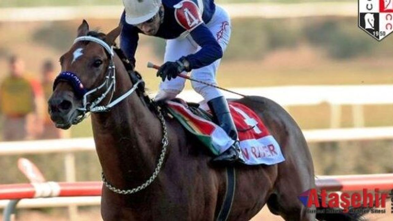 82. Gazi Şampiyonu Pan River hayatını kaybetti