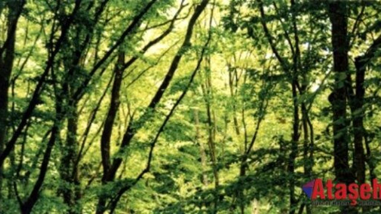 KADIKÖY BELEDİYESİ'NDEN KADIN ÇALIŞANLARINA ANLAMLI HEDİYE