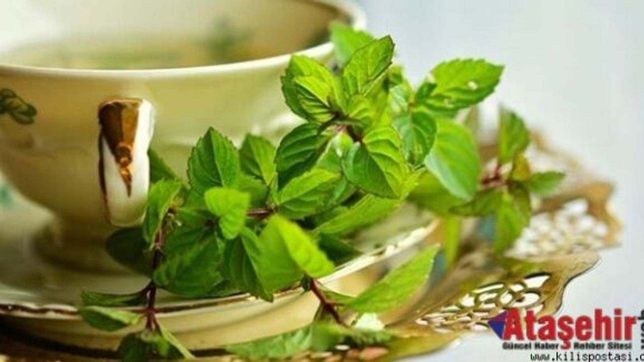 Yeşil Çay’ın Ağız ve Diş Sağlığına Etkisi