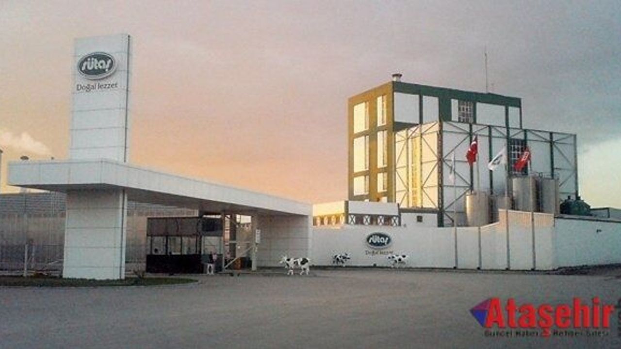 Rusya'dan Sütaş'a ihracat yasağı