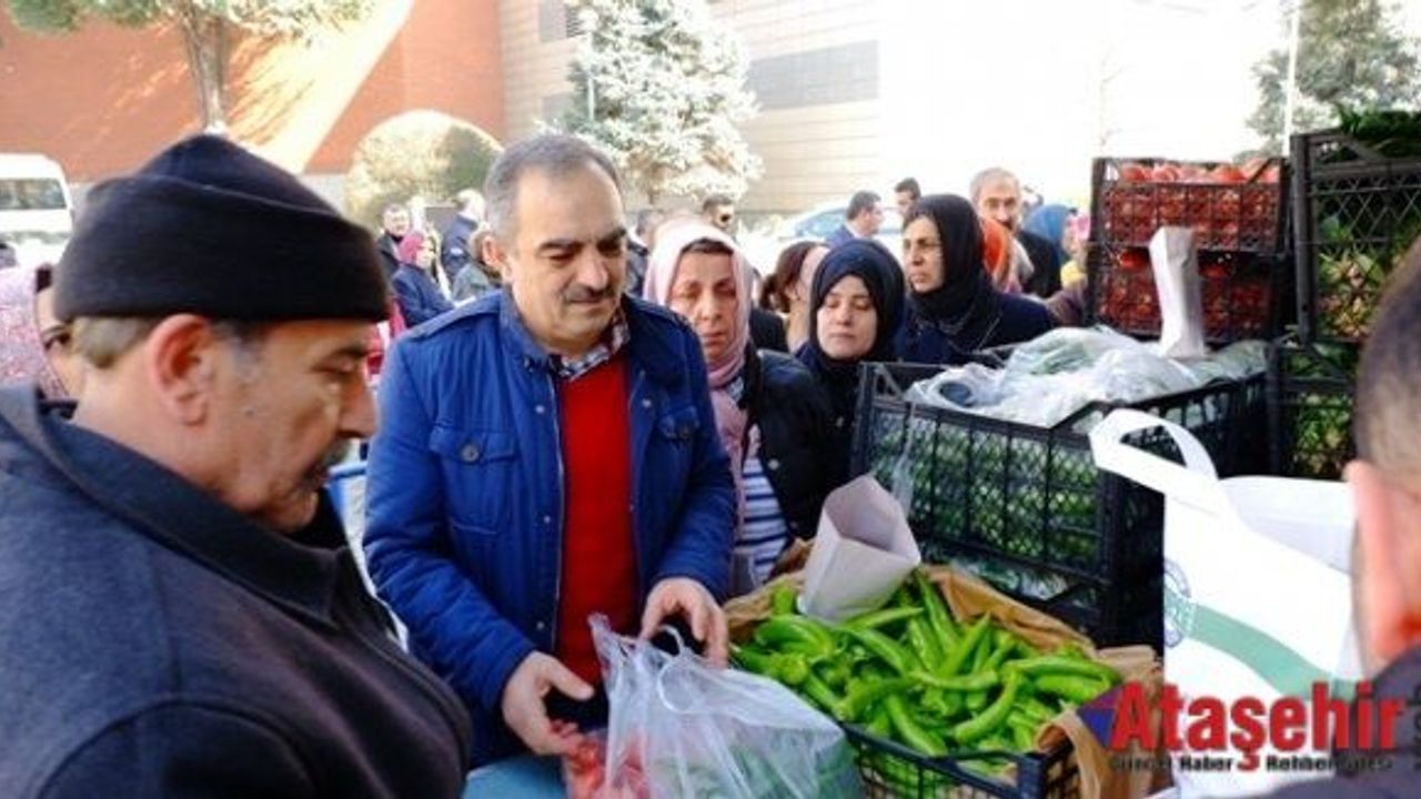 12 Günde 40 Ton Patates Satıldı