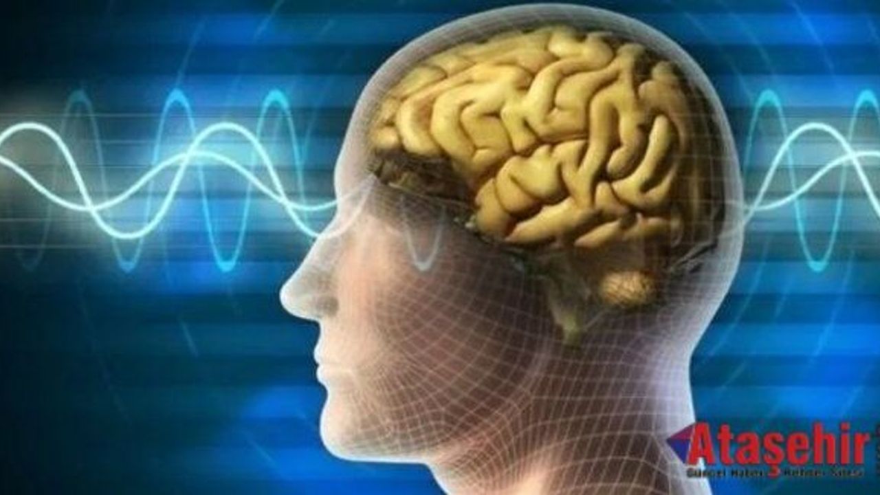 Beyin kanseri erkekleri daha çok etkiliyor