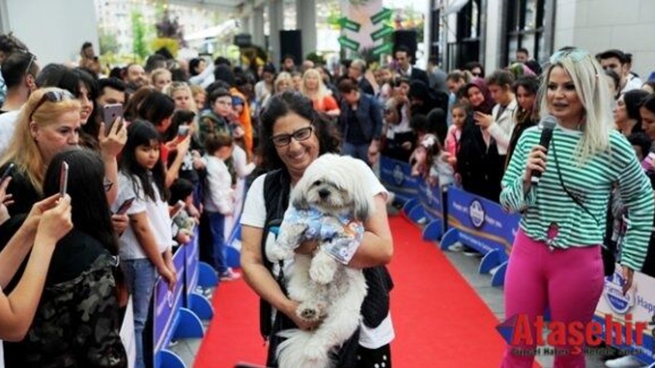 Patili dostlar Pati Fest’te bir araya geldi