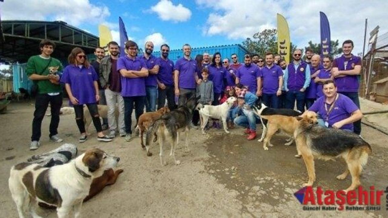 Ataşehir'de barınakta bakılan köpeklere mama yardımı yapıldı