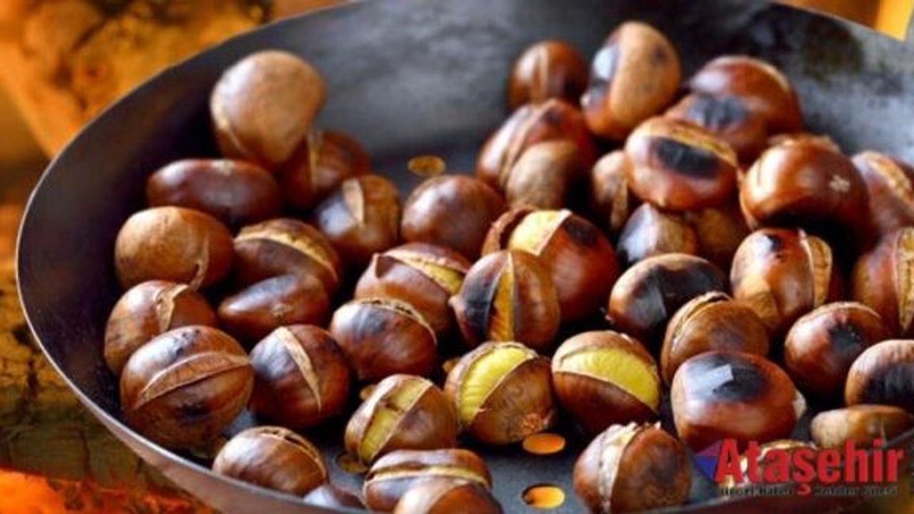 Kestane gribe karşı koruyor