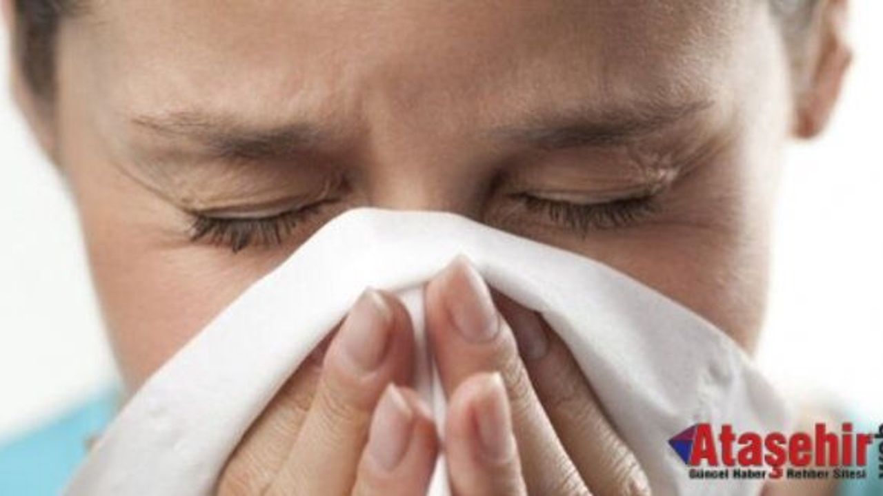 Domuz gribi tedavisinde ilk 48 saat önemli