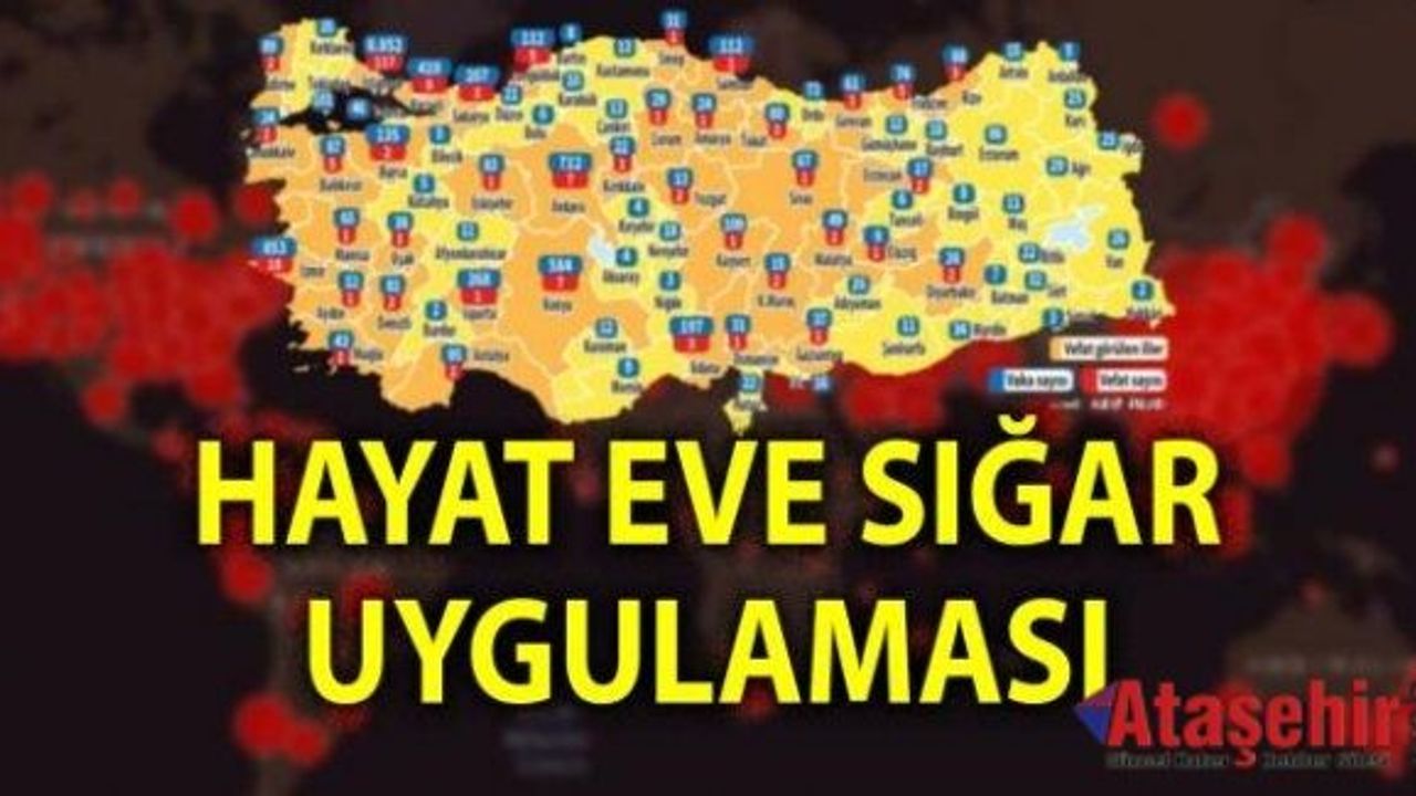 'Hayat Eve Sığar' uygulaması, koronavirüs risk haritanızı gösteriyor