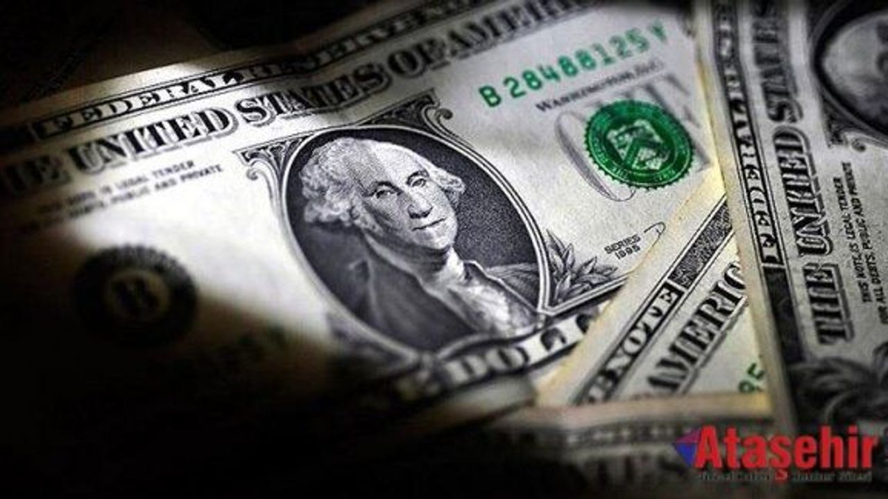 Çöp diye aldığı çantadan 1 milyon dolar çıktı