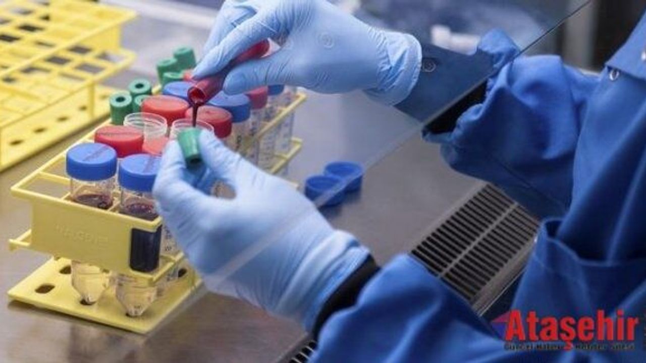 Koronavirüs aşısı çalışmalarından olumlu sonuçlar geldi