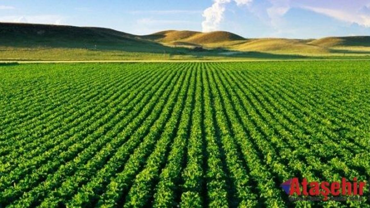 Kahramanmaraş’ın Tarım Arazileri, Masdaf’la Hayat Buluyor