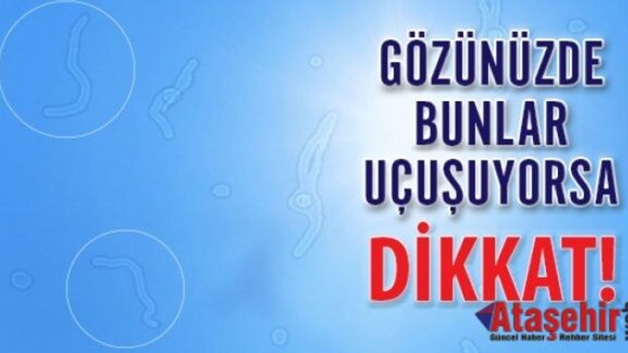 GÖRME ALANINIZDA SİNEKLER UÇUŞUYORSA