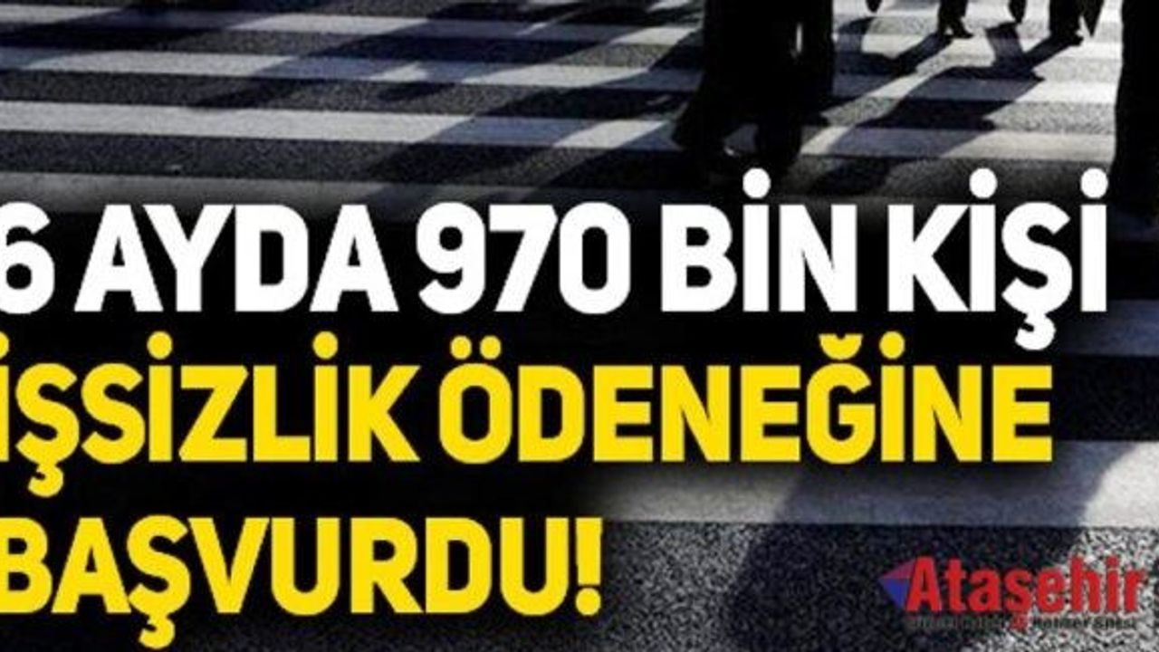 DOKUZ AYDA 333 BİN KİŞİ İŞSİZLİK ÖDENEĞİNE BAŞVURDU