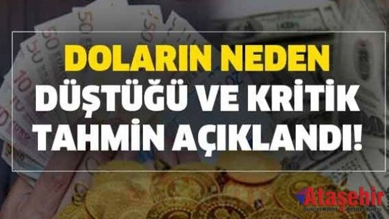 Dolar neden düşüyor, değer kaybı sürecek mi?