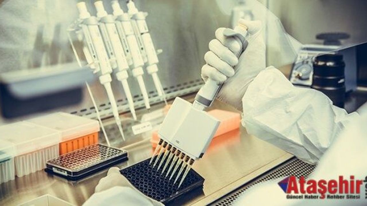 Kansere Yatkınlık Bu Testle Belirlenebiliyor