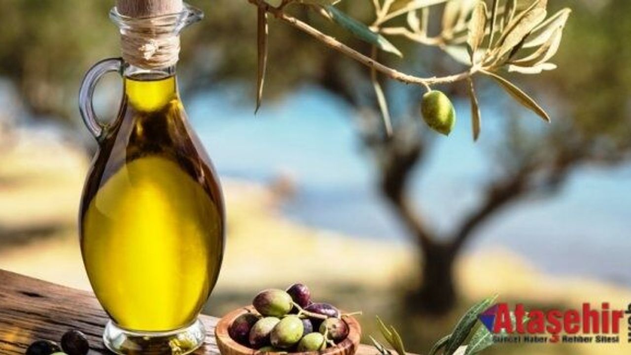 Zeytin ve zeytinyağı ihracatında hedef 1,5 milyar dolar