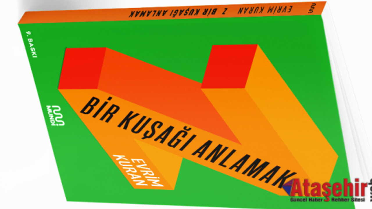 Z KUŞAĞI REKORA KOŞUYOR