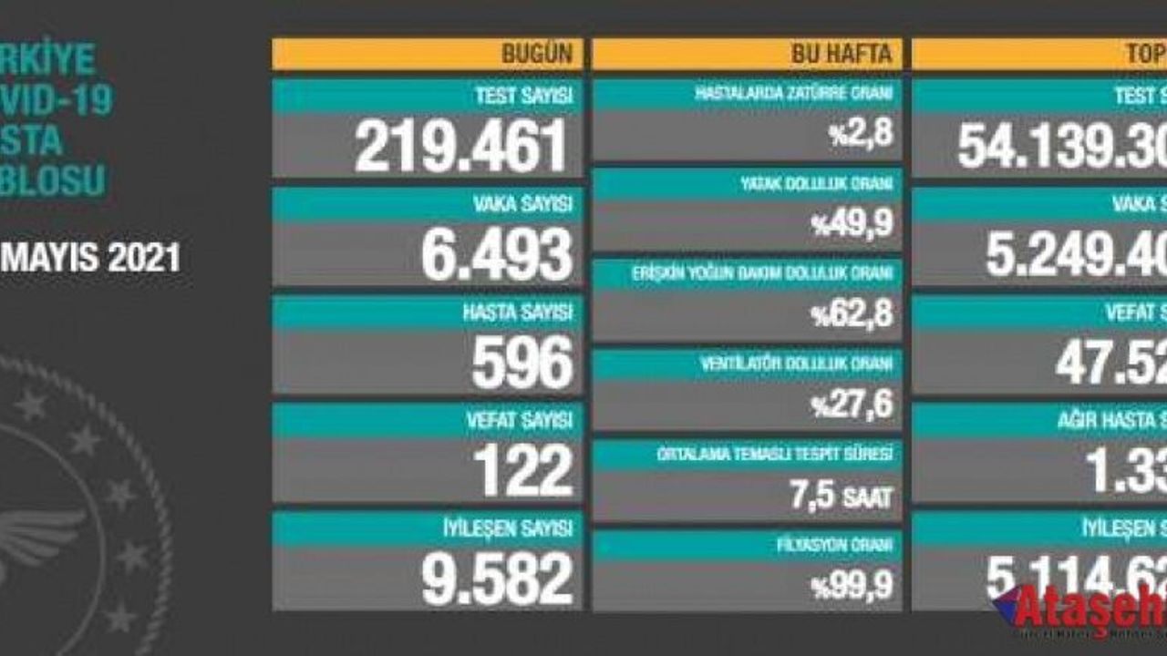 31 Mayıs 2021 koronavirüs tablosu