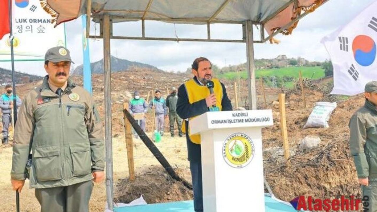Türkiye - Kore dostluğu 580 bin fidanla kökleşti