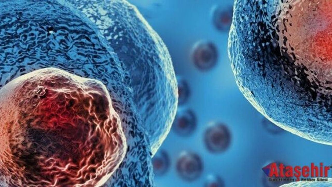 KÖK HÜCRE TEDAVİSİ İLE PRP ARASINDAKİ 4 ÖNEMLİ FARK