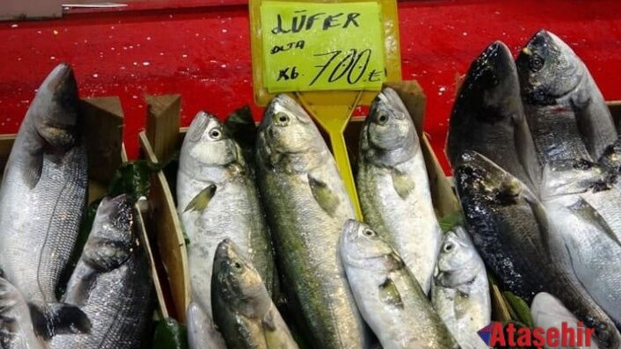 AV YASAĞI SONRASI BALIK FİYATLARI UÇTU 