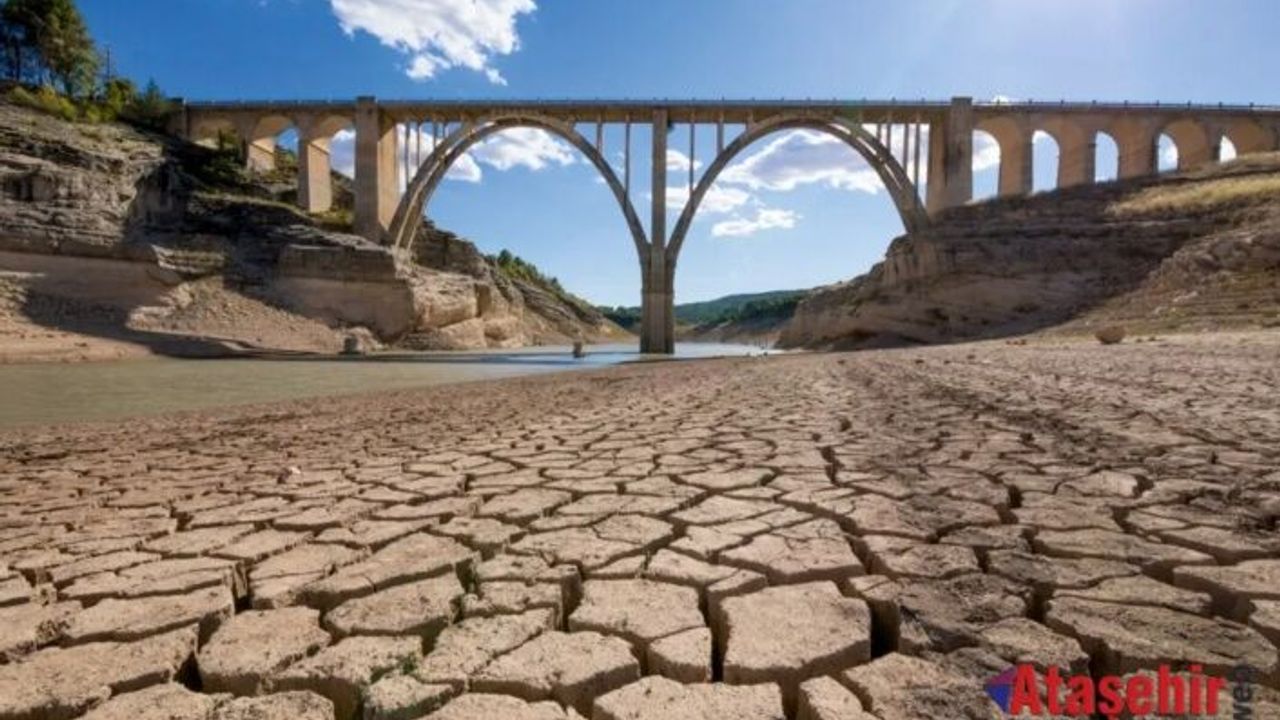 Avrupa dünyada en hızlı ısınan kıta; 
