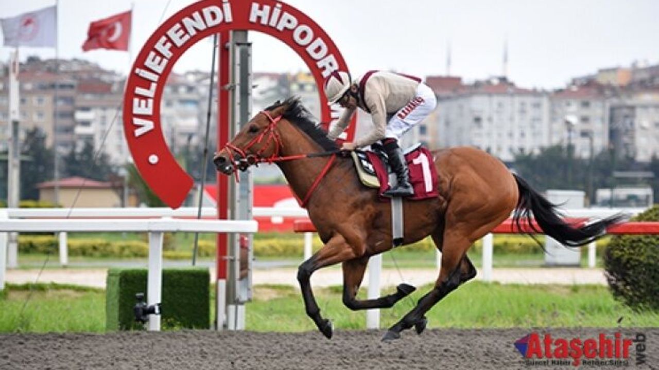 Veliefendi Hipodromu’nda yarış şöleni başlıyor
