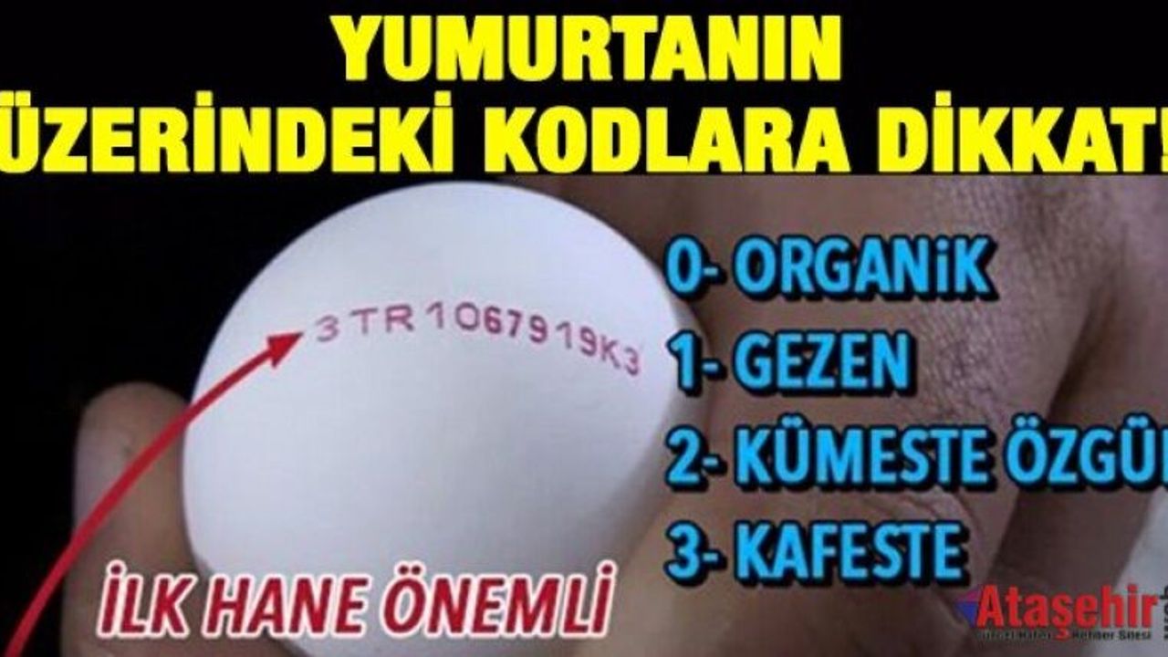 Yumurtanın Üzerindeki Kodlar Ne Anlama Geliyor