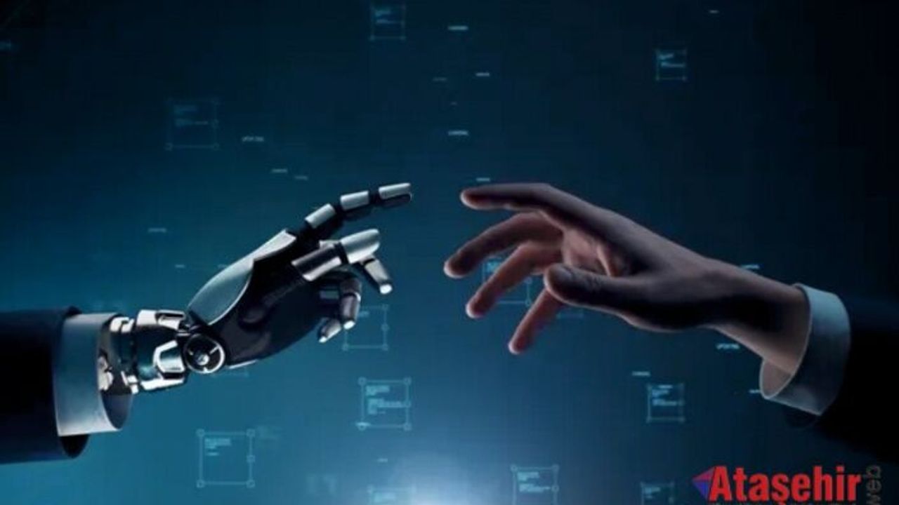 20 yılda şirket sayısı 5'ten 1.195'e çıktı