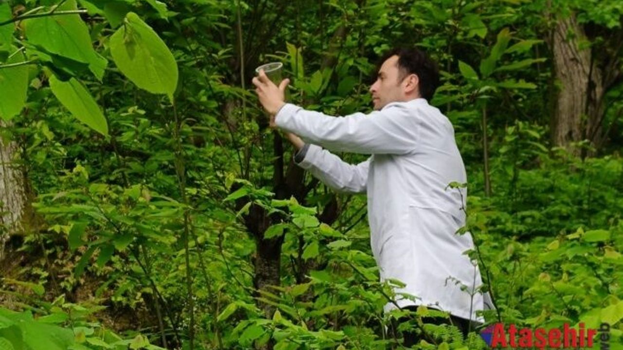 Bursa Biyolojik Mücadele Laboratuvarında rekor üretim. 