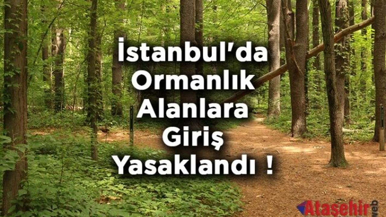 İstanbul Valiliği ormanlık Alanlara Girişleri Yasakladı