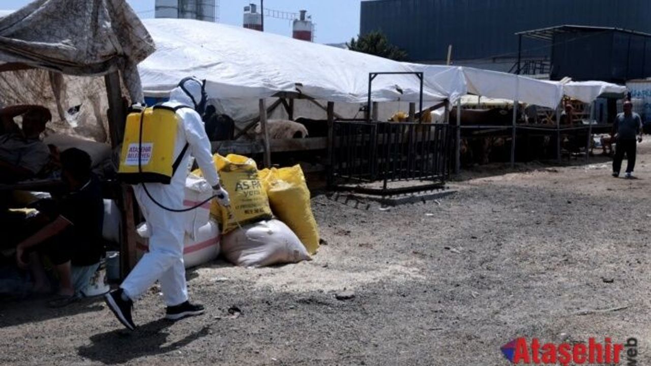 KURBAN SATIŞ VE KESİM ALANLARI ÖZENLE DEZENFEKTE EDİLİYOR