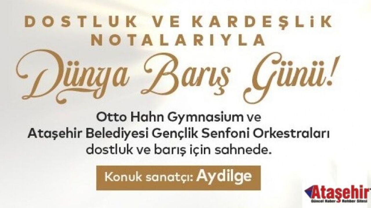DÜNYA BARIŞI İÇİN ORTAK KONSERLER