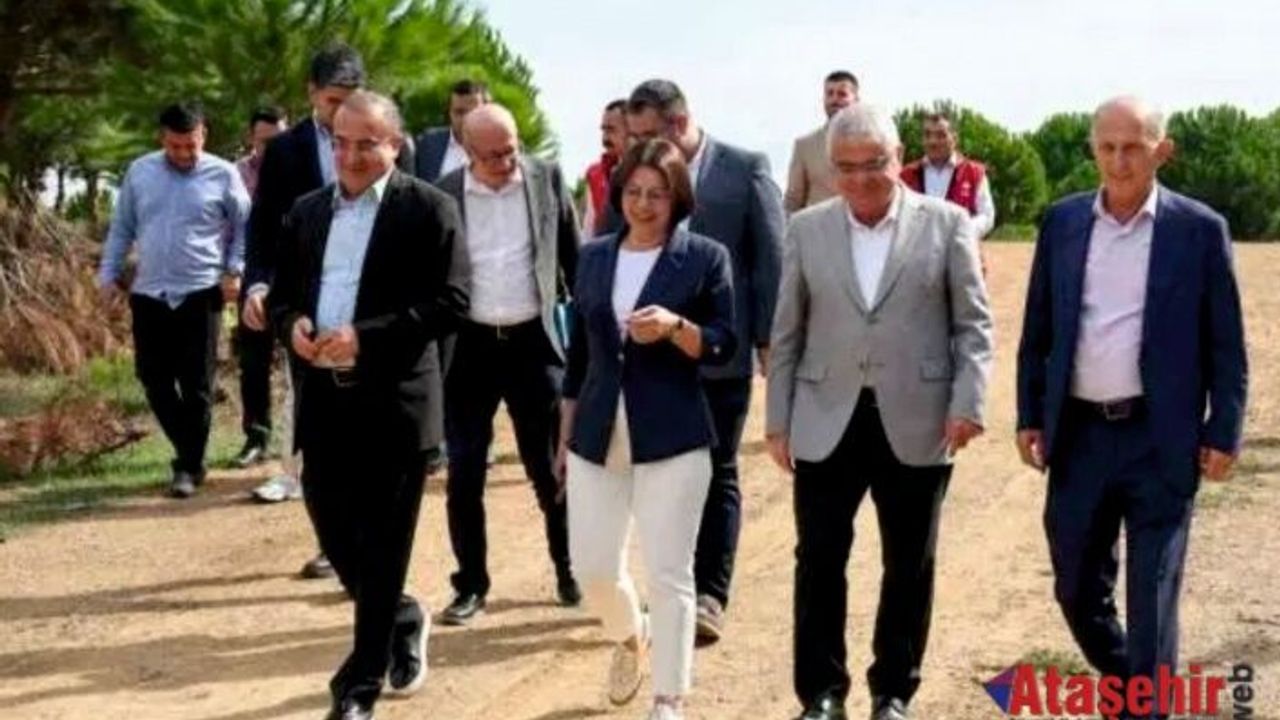 Maltepe Belediyesi, “can dostlar”ı için bakım evi kuruyor