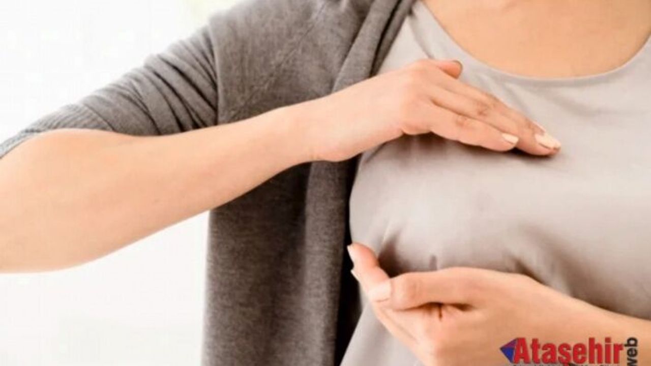 Kadınlar En Çok Hangi Meme Şikayeti Ile Başvururlar?