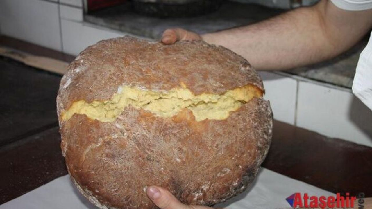 KASTAMONU ARAÇ KÜL ÇÖREĞİ 