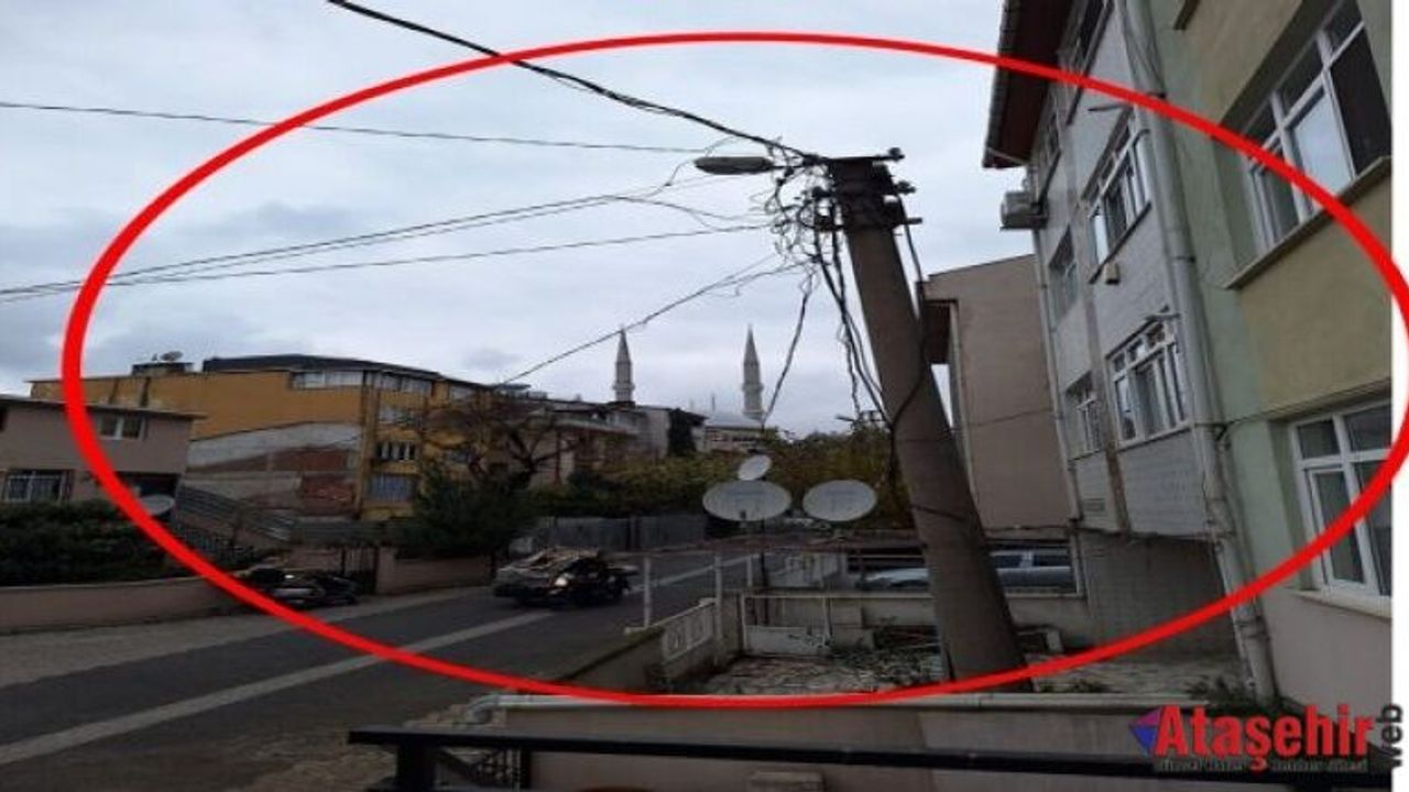 Bu direk Elli yıldır  bahçeden kaldırılmadı