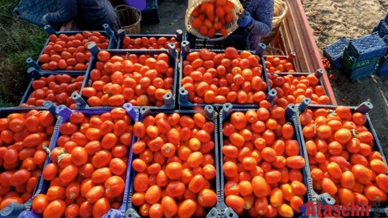 İstanbullular 2024'te en çok ne tüketti?