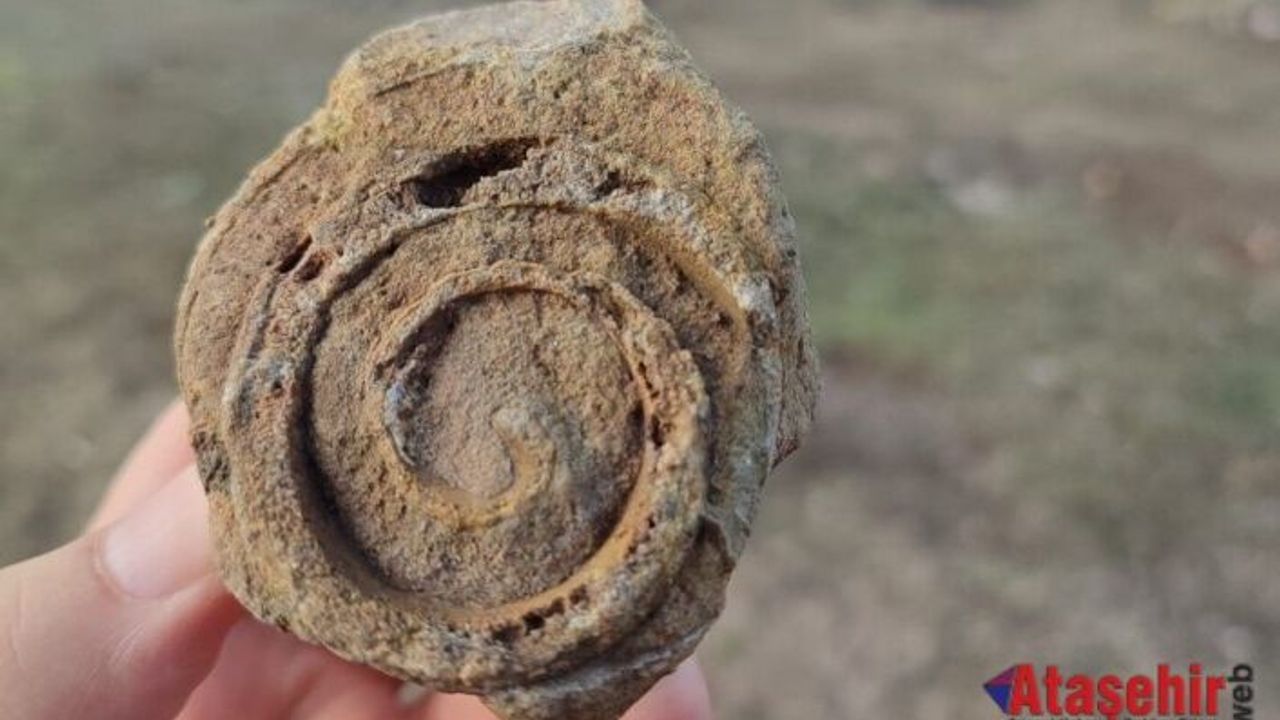 AMASYA’DA BULUNDU: TAM 57 MİLYON YAŞINDA