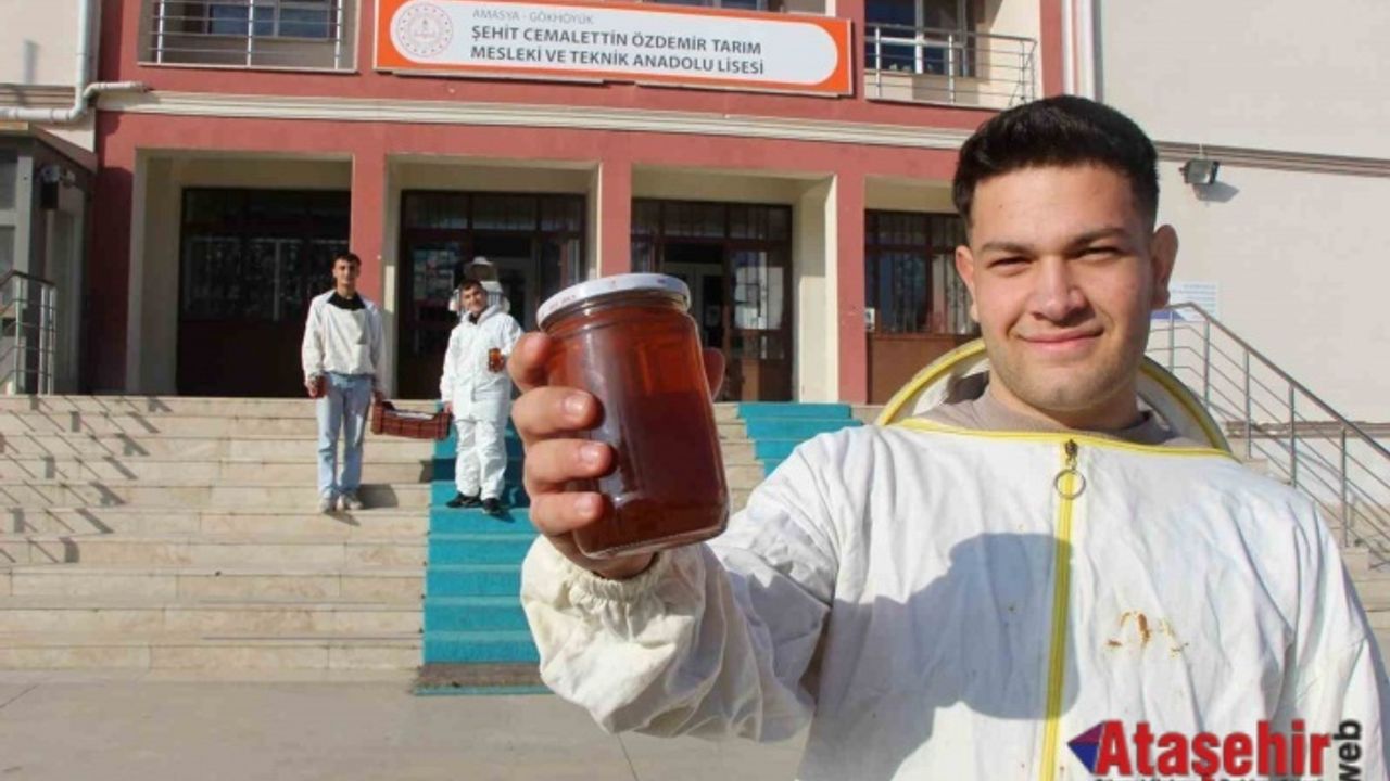 En Doğal ve En iyi Bal, Bizim Bal