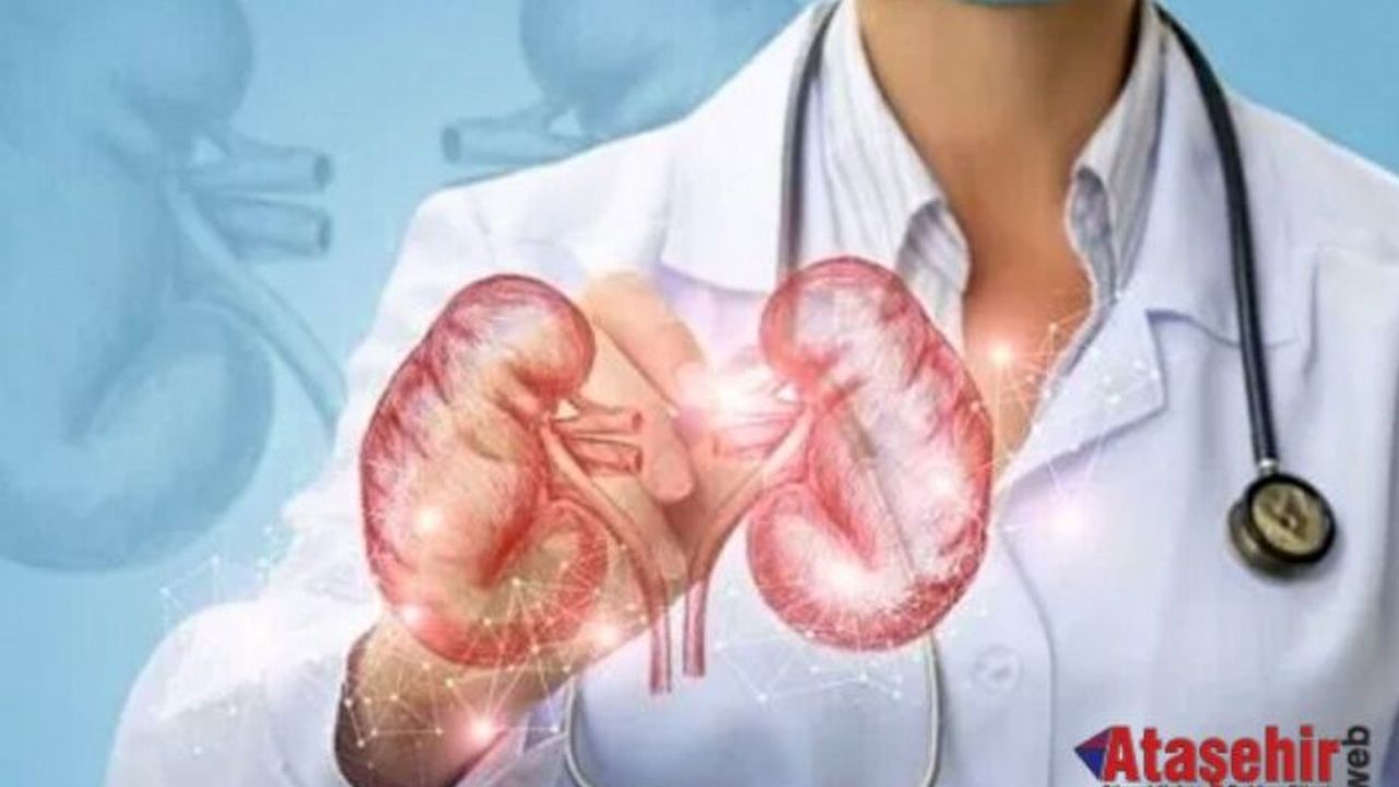 BÖBREKLERİNİZİ KORUMAK İÇİN BUNLARA DİKKAT EDİN!