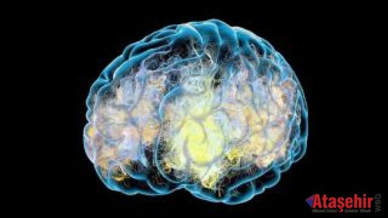 Beyin sağlığı için 7 etkili öneri! 