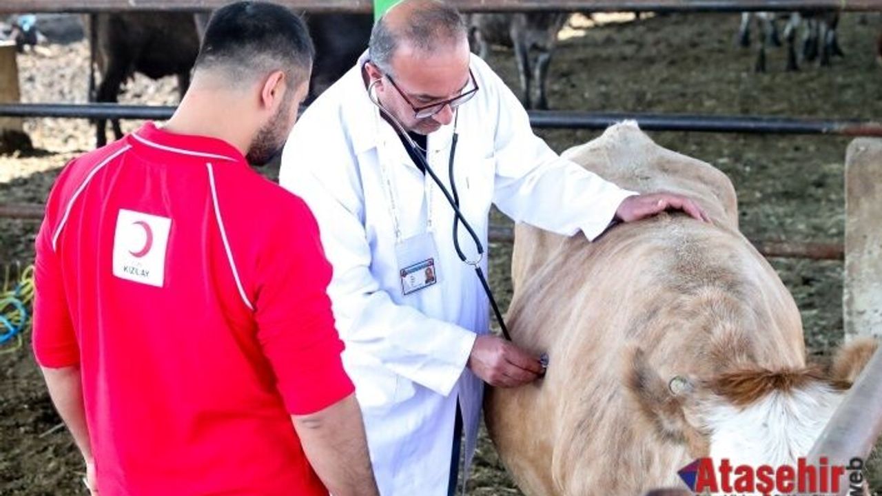 KIZILAY'IN 2025 KURBAN VEKALET BEDELLERİ BELLİ OLDU