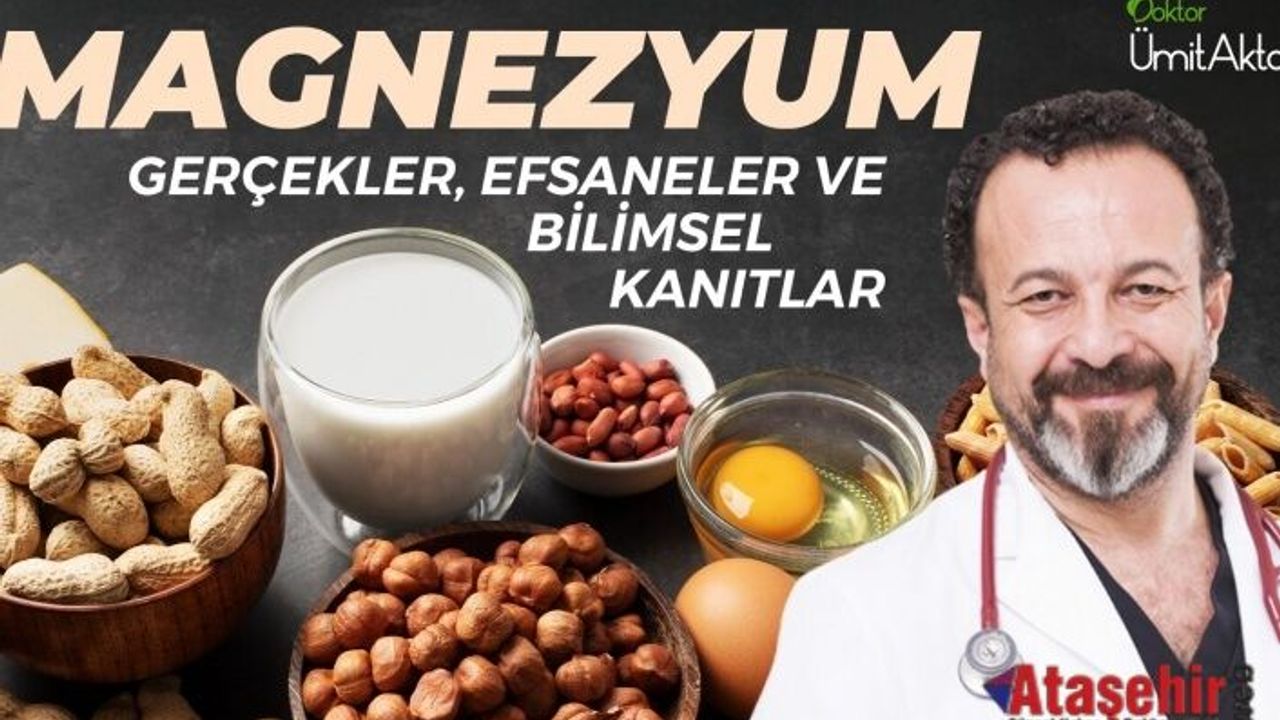 MAGNEZYUMDA ASIL OLAN EMİLİM ORANIDIR