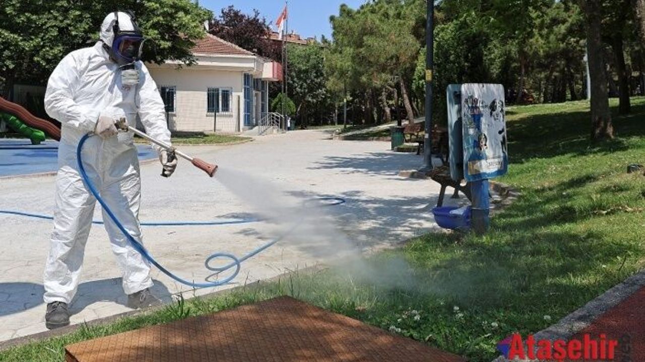 ATAŞEHİR’DE KENELERE KARŞI ETKİLİ MÜCADELE DEVAM EDİYOR