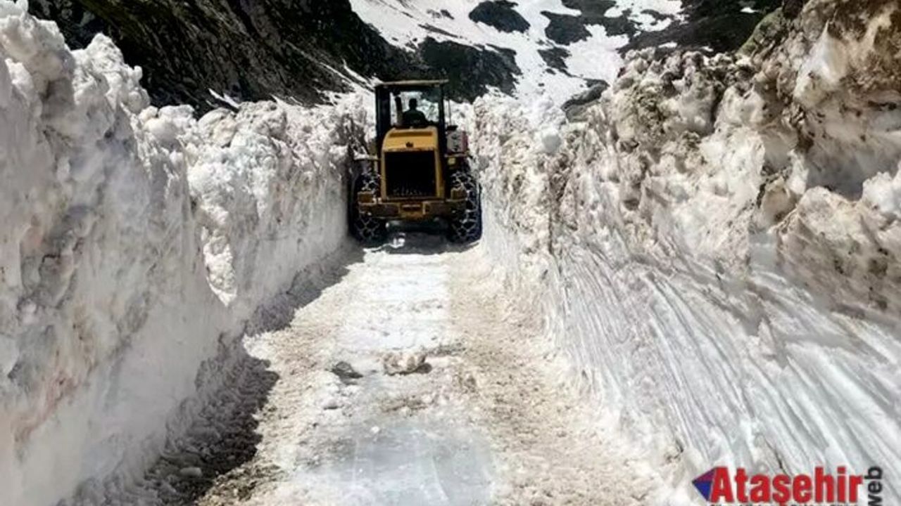 Haziran'da Karadeniz'de kar engeli