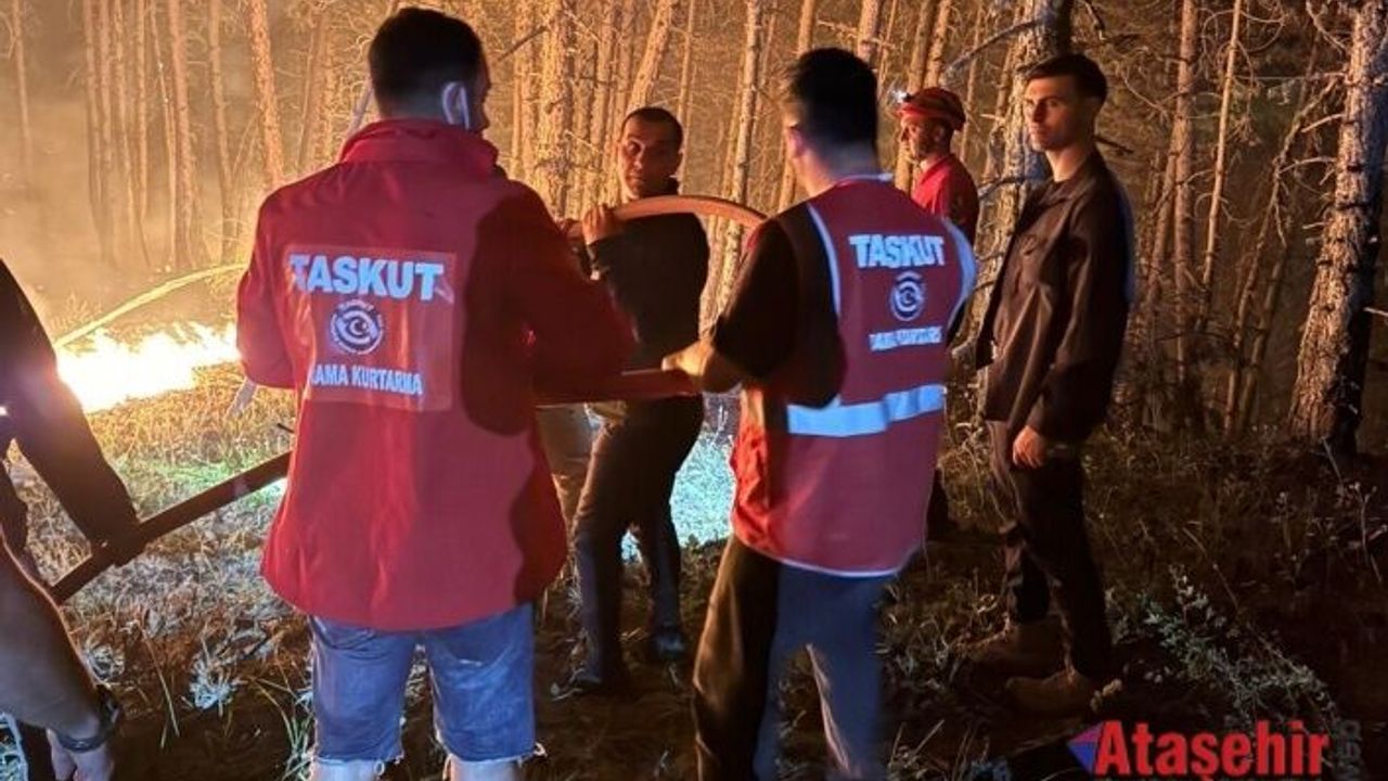 Sahada Bir Vali: Yangına Karşı Vicdan Mücadelesi