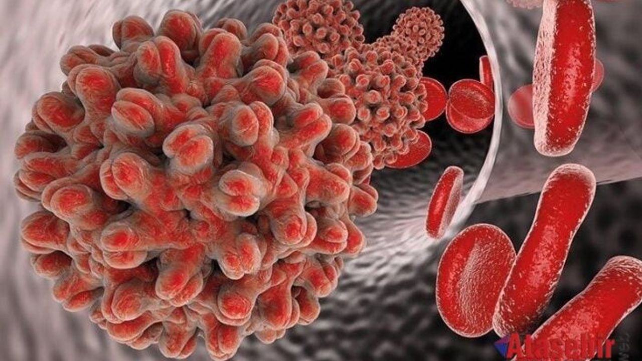 Yarım Milyondan Fazla Kişi Hepatit C Taşıdığını Bilmiyor