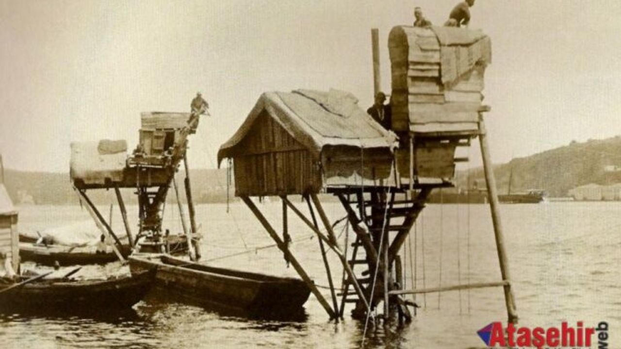 İstanbul Boğazı’nda Sessiz Alarm: Göçmen Balıklar Yönünü Kaybediyor